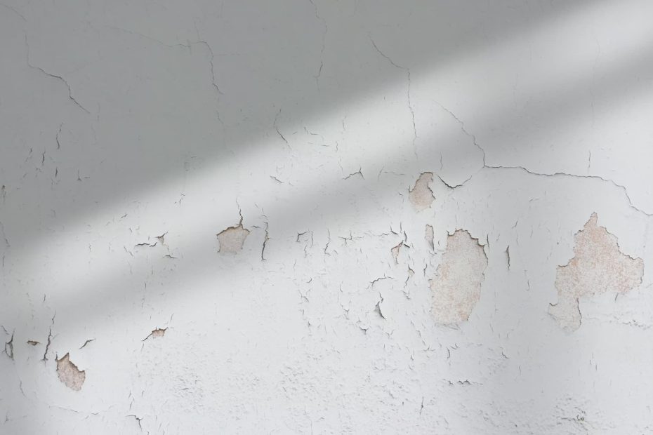 eliminar humedades en paredes