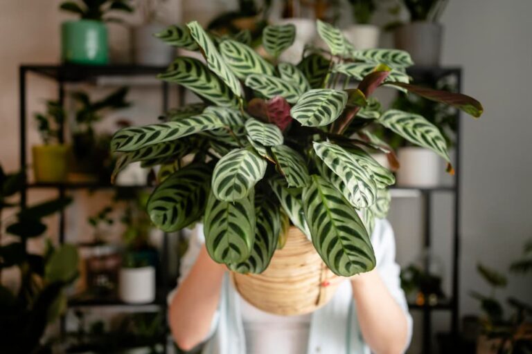 Ideas para renovar la decoración de casa sin hacer grandes reformas